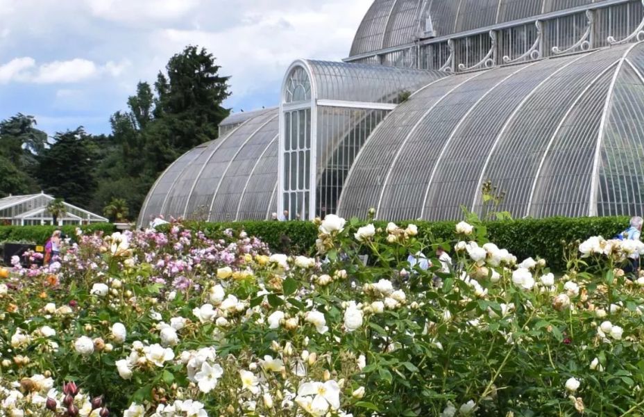 Kew Gardens glass house set against a wild flower meadow